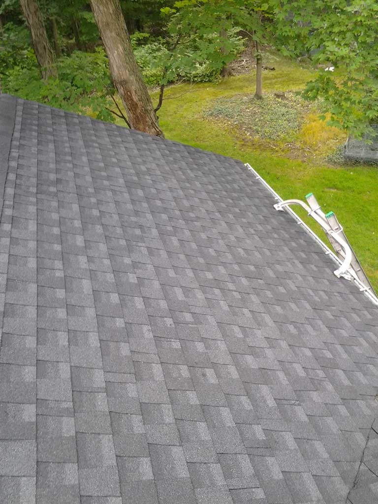 Roof Mold After