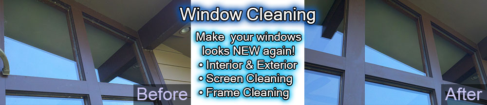 Window Cleaning