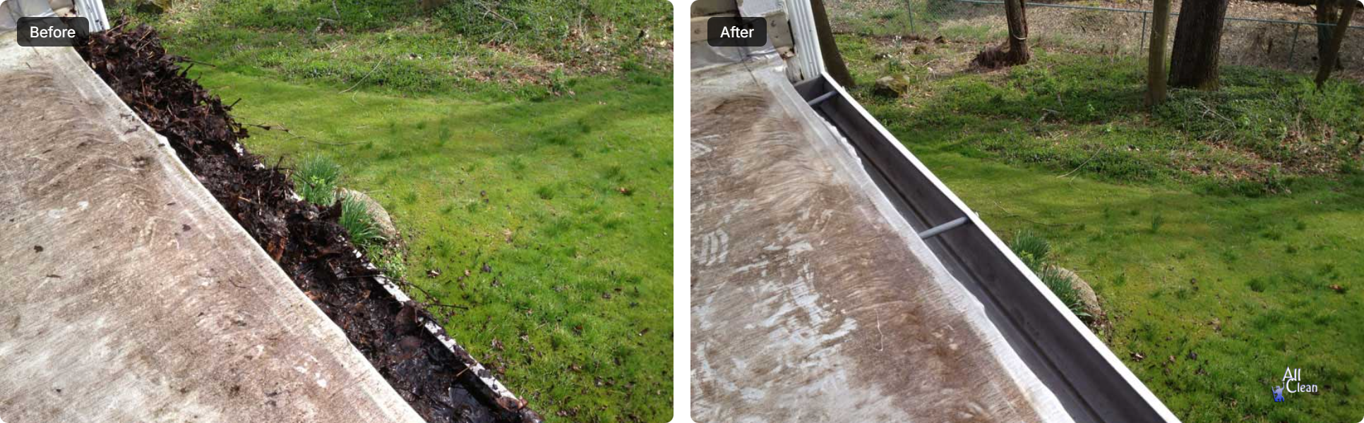 Gutter Cleaning